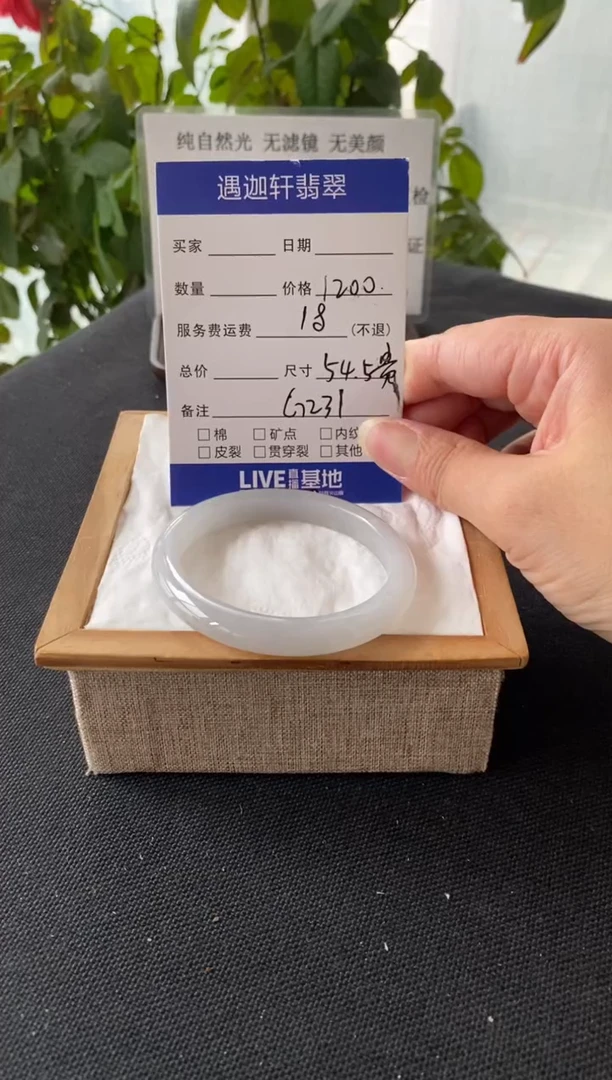 未镶嵌手镯翡翠54.5贵妃 G231编码