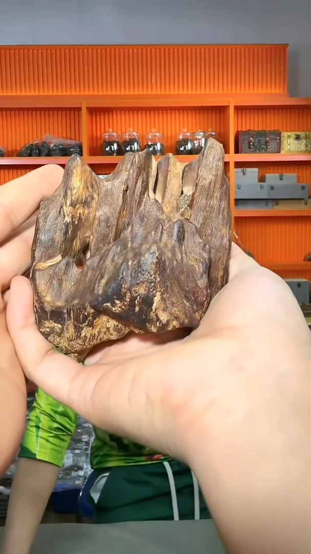 沉香摆件51号200g多样性发一