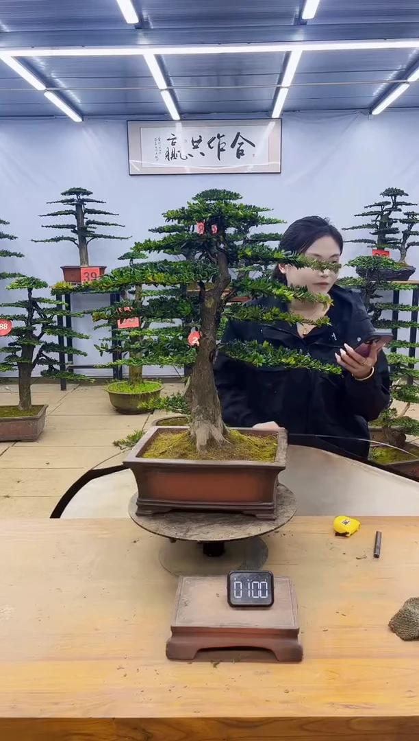 一物一拍，所见即所得