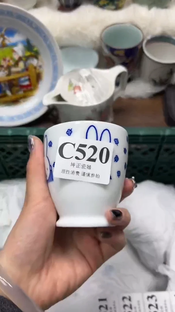 【闪购商品】瓷片          C520