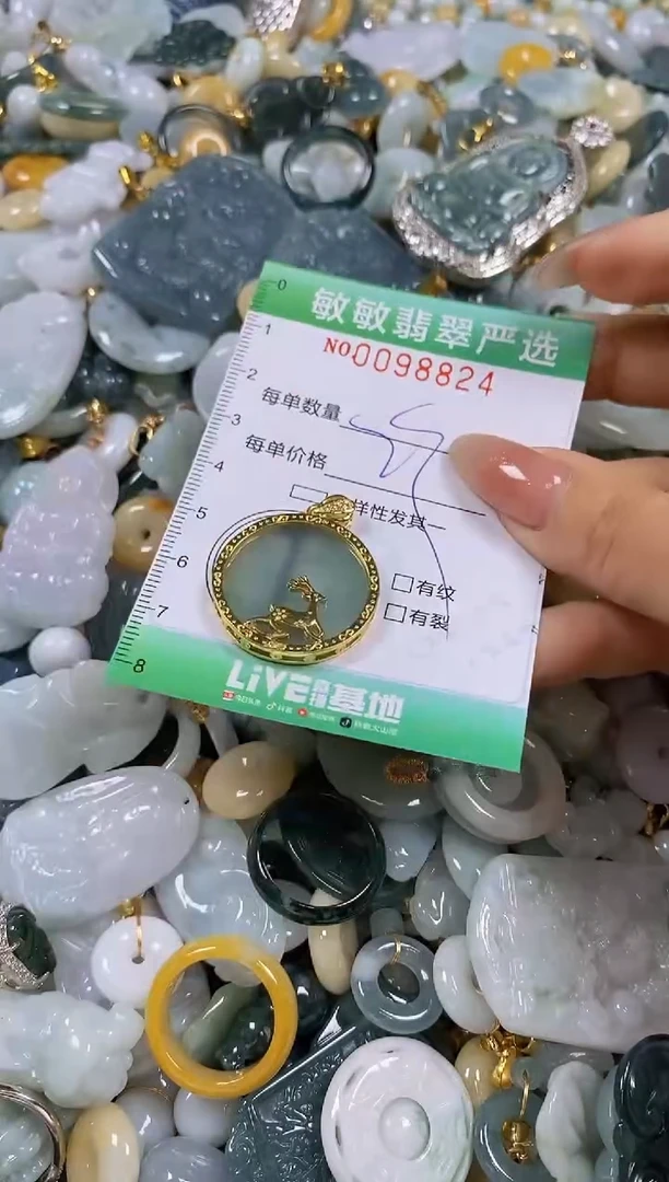 【闪购商品】翡翠颈饰未镶嵌闪购0098824