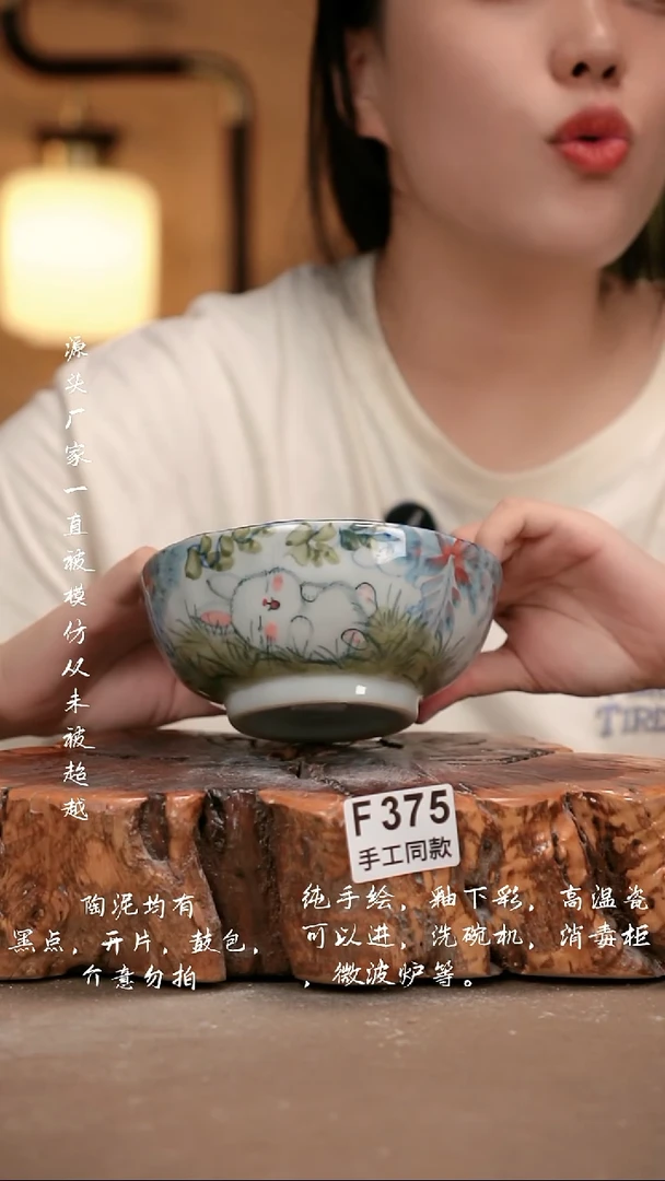 其他你****猜F375 新十二器