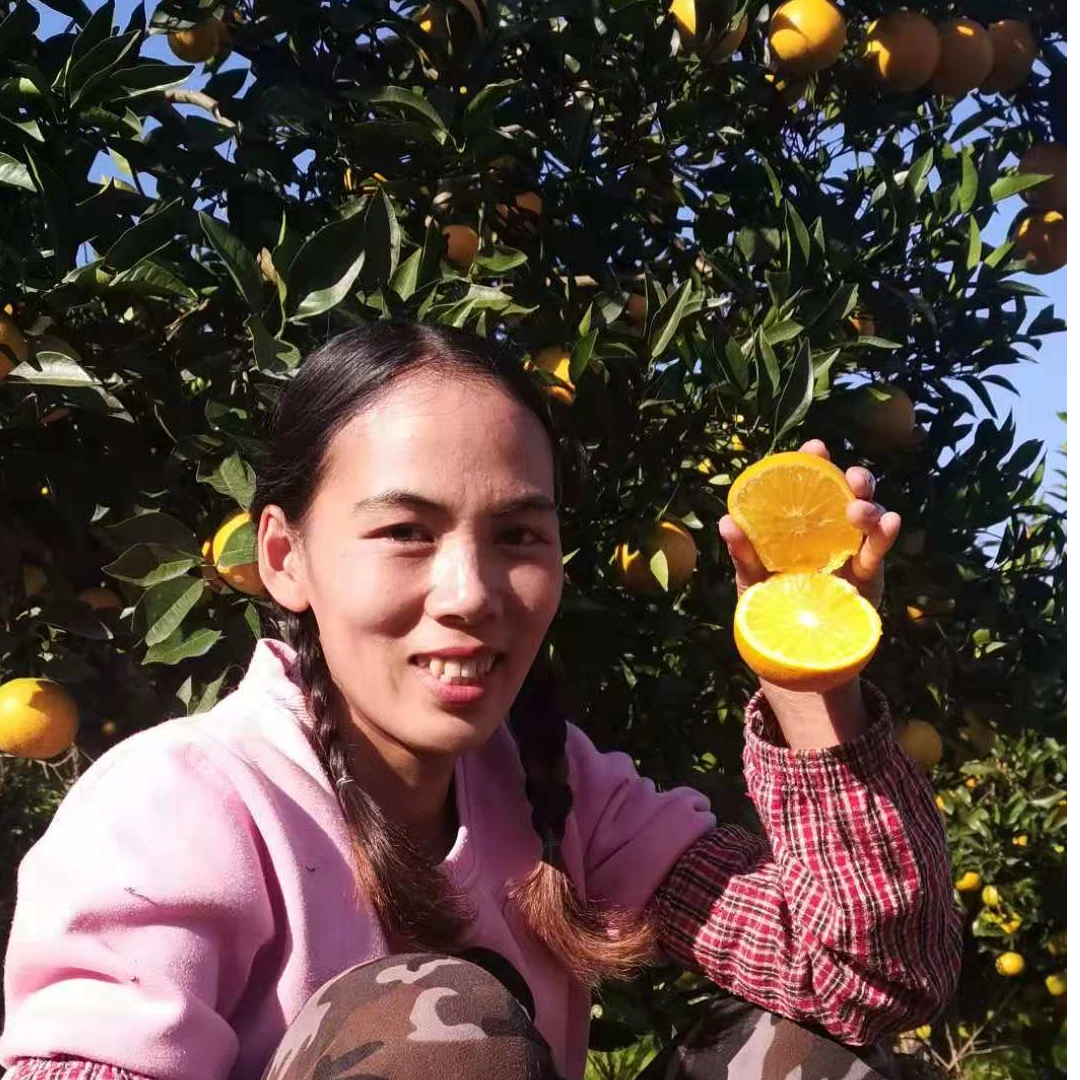 麻阳锦蜜纯甜无酸 大中小混装（净重9斤）