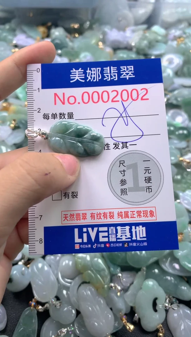 颈饰未镶嵌翡翠2002