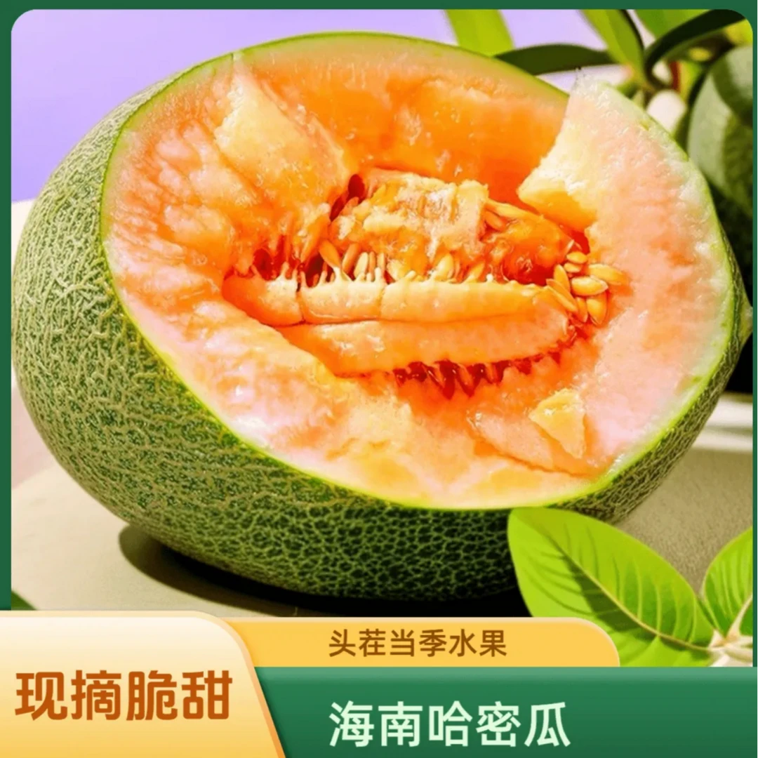 【海南沙地蜜瓜】 海南沙地脆甜多汁巴郎蜜瓜 包甜的那种新鲜采摘