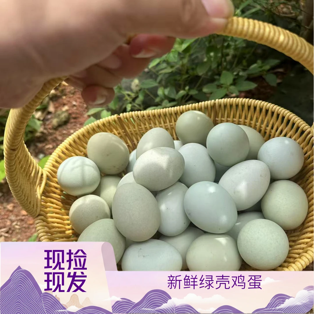 （试吃十枚）农家散养绿壳土鸡蛋蛋新鲜现捡孕妇月子宝宝营养50枚