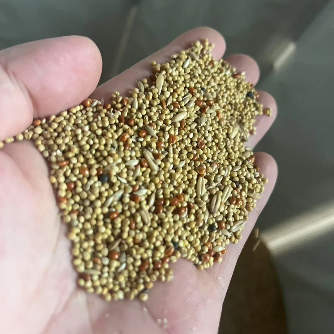 多种鹦鹉及小型鸟类通用营养混合鸟粮适合日常喂食