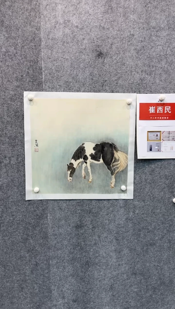 【闪购商品】国画pmw不二轩旗舰店国画cxm5