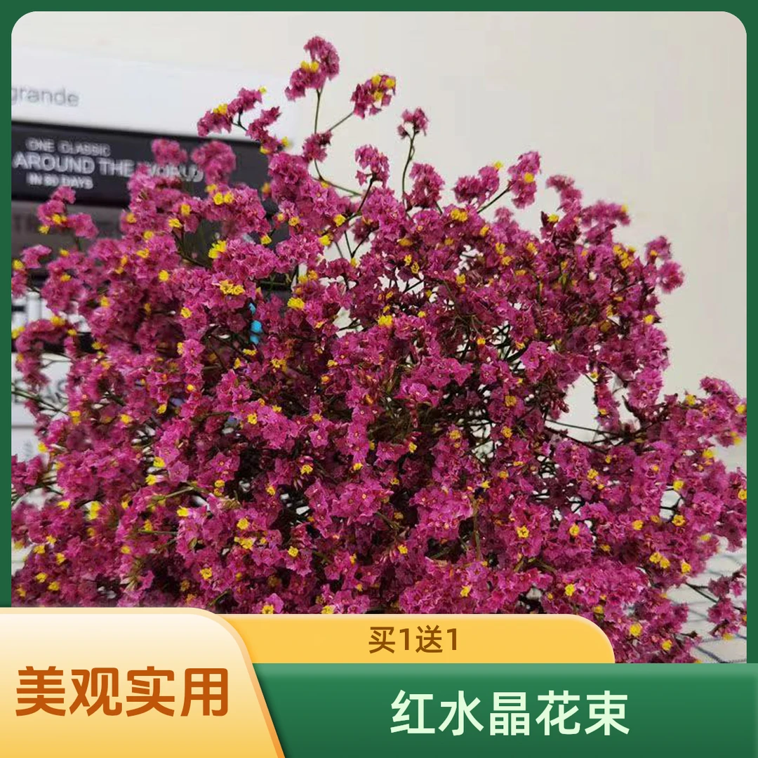 【买1束送1束】天然红色水晶花束花卉半干植物摆件生日礼物鲜花束