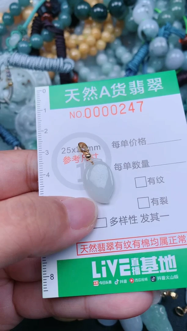 翡翠未镶嵌颈饰.0000247