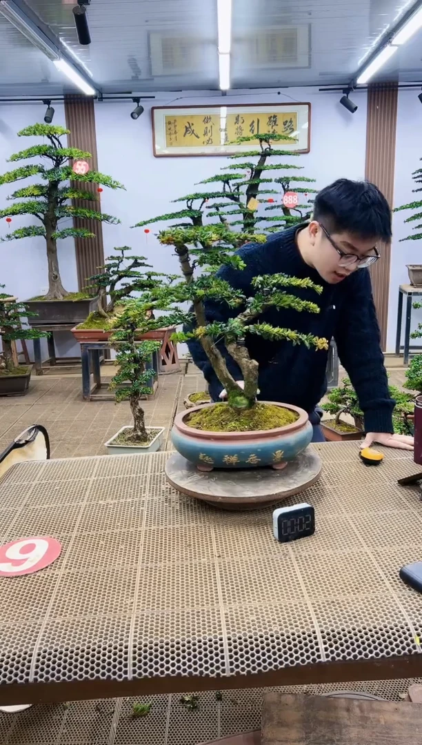 【闪购商品】000000000