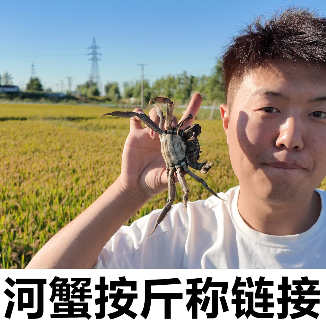 【活蟹】盘锦河蟹 （1.5~1.8两）公母混装2斤装福利礼盒空运包邮