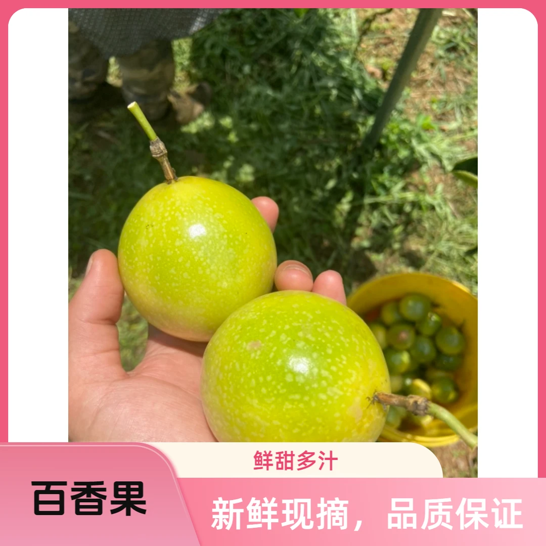 百香果黄金百香果广西产地直发果味芳香浓郁农家种植时令水果