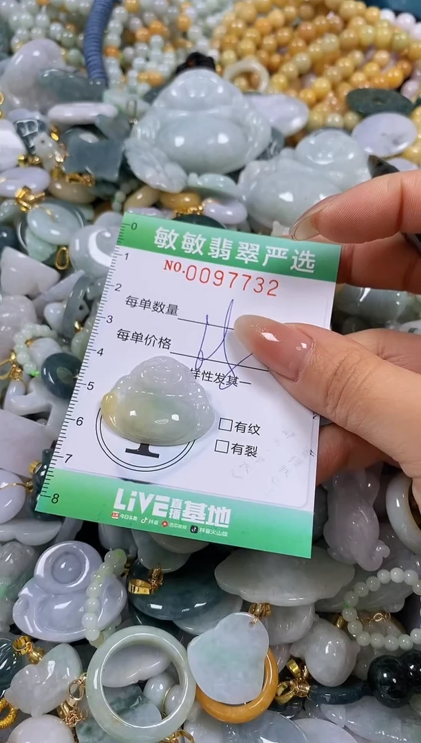 【闪购商品】翡翠颈饰未镶嵌闪购0097732