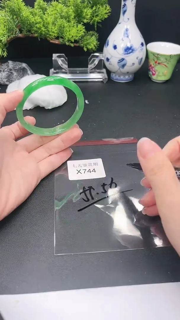 未镶嵌手镯翡翠744