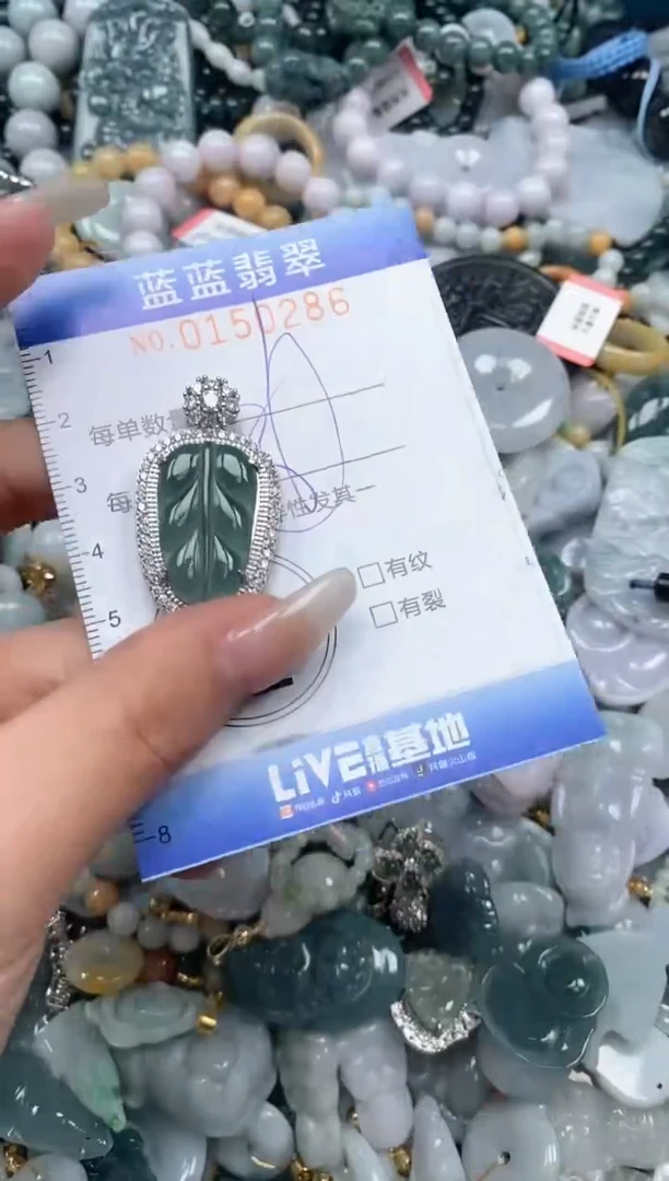 【闪购商品】翡翠颈饰未镶嵌闪购0150286