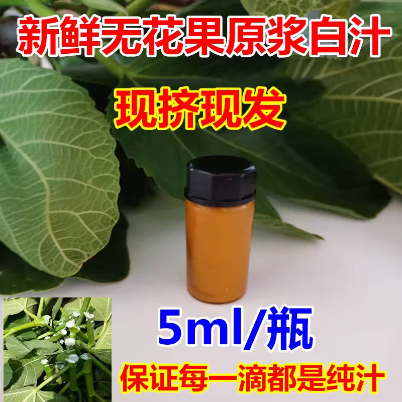 新鲜无花果白汁青皮原浆乳液白浆无花果茎枝叶汁液现挤