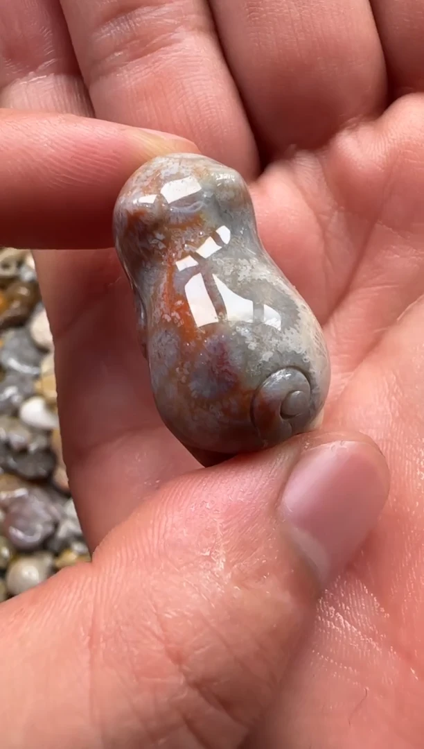 【闪购商品】硅化珊瑚（珊瑚玉）颈饰未镶嵌014