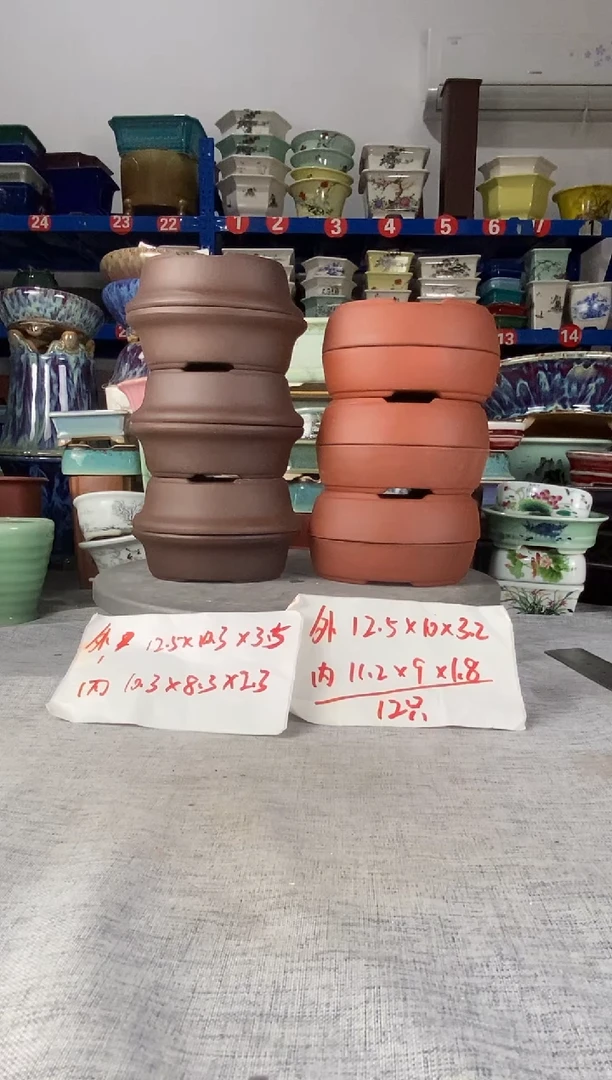 252208十二只椭圆