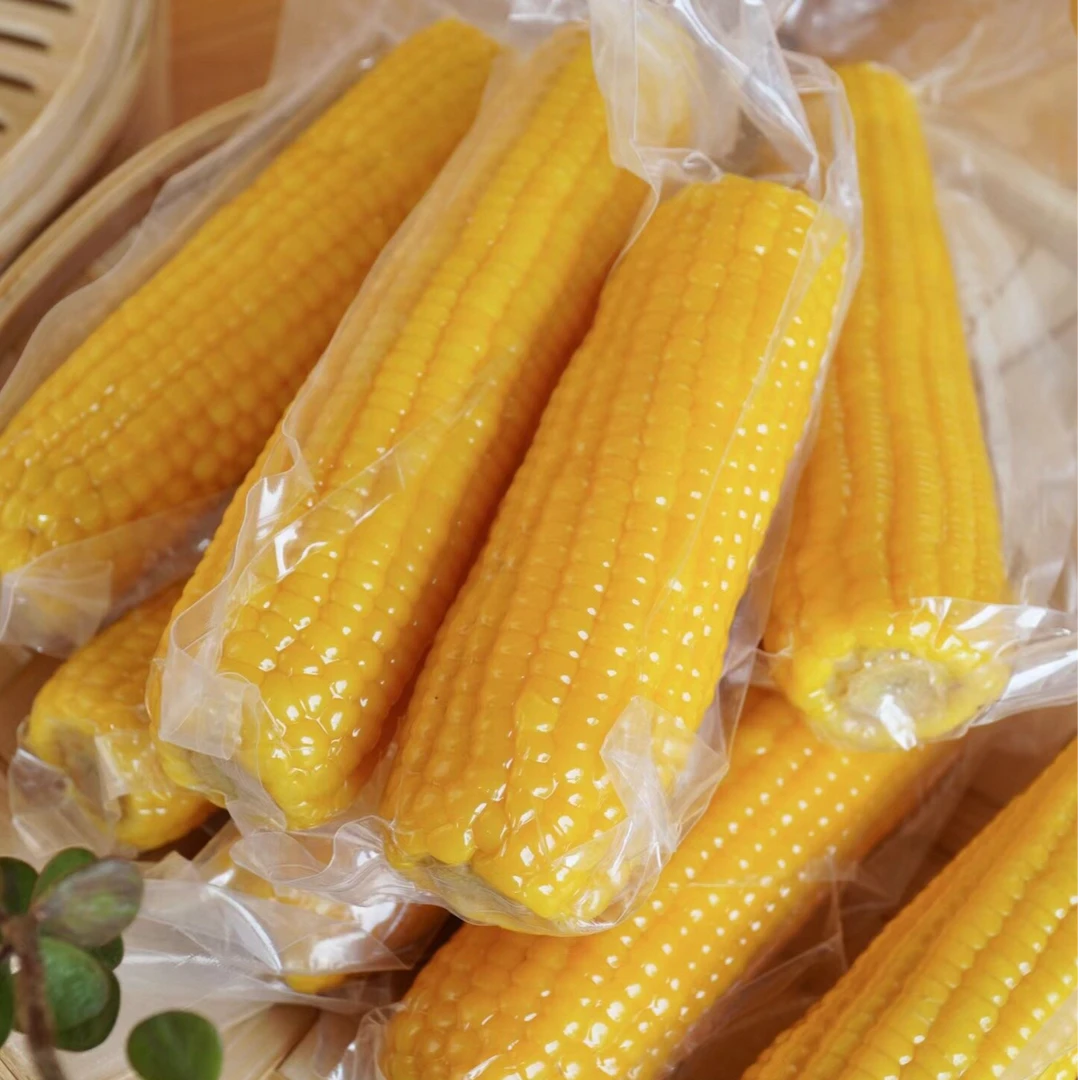 （试吃2棒）整箱12棒 东北黑土地 头茬黄糯玉米 真空包装