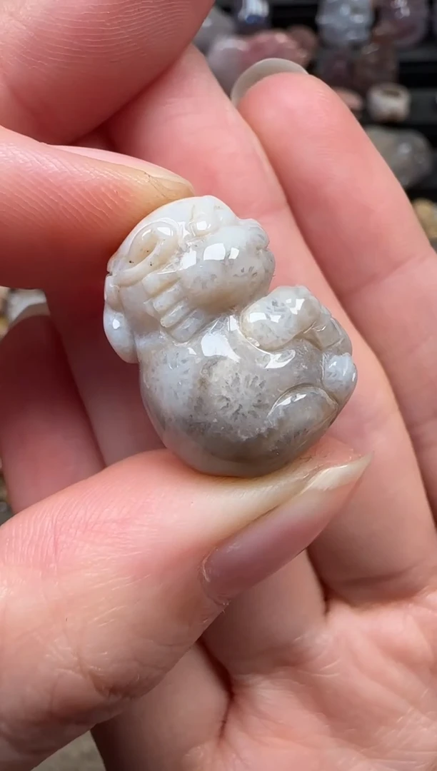 颈饰未镶嵌硅化珊瑚（珊瑚玉）762