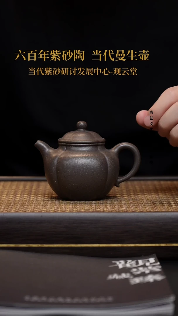 茶壶紫砂紫砂 筋囊器