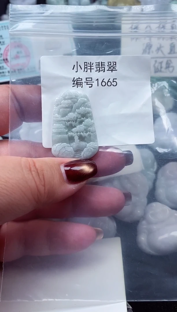 颈饰未镶嵌翡翠缅甸天然A货翡翠1665