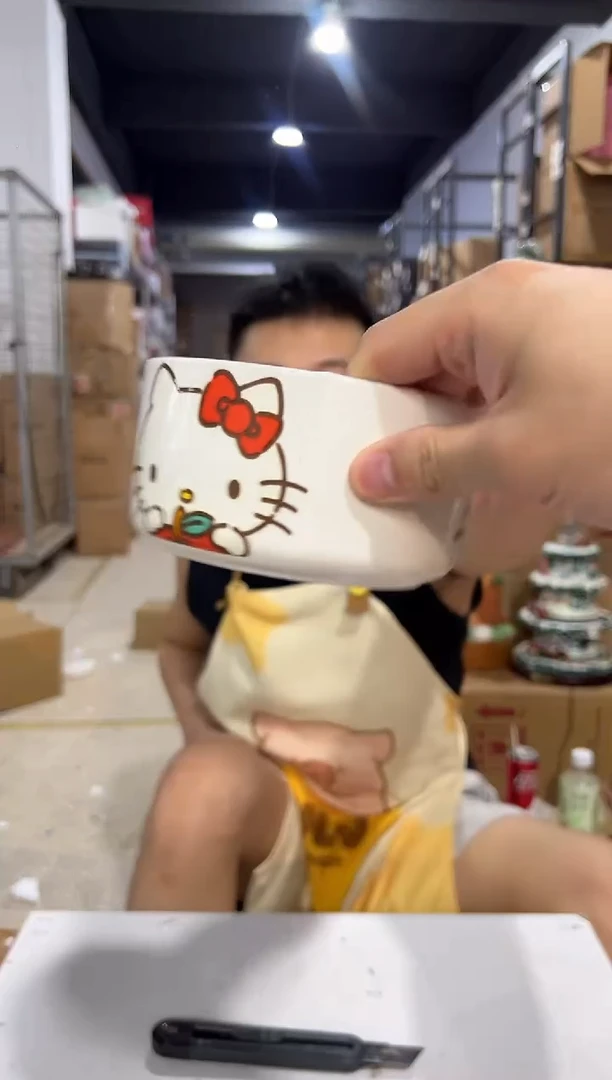 瓷片陶瓷碗白色kt猫碗