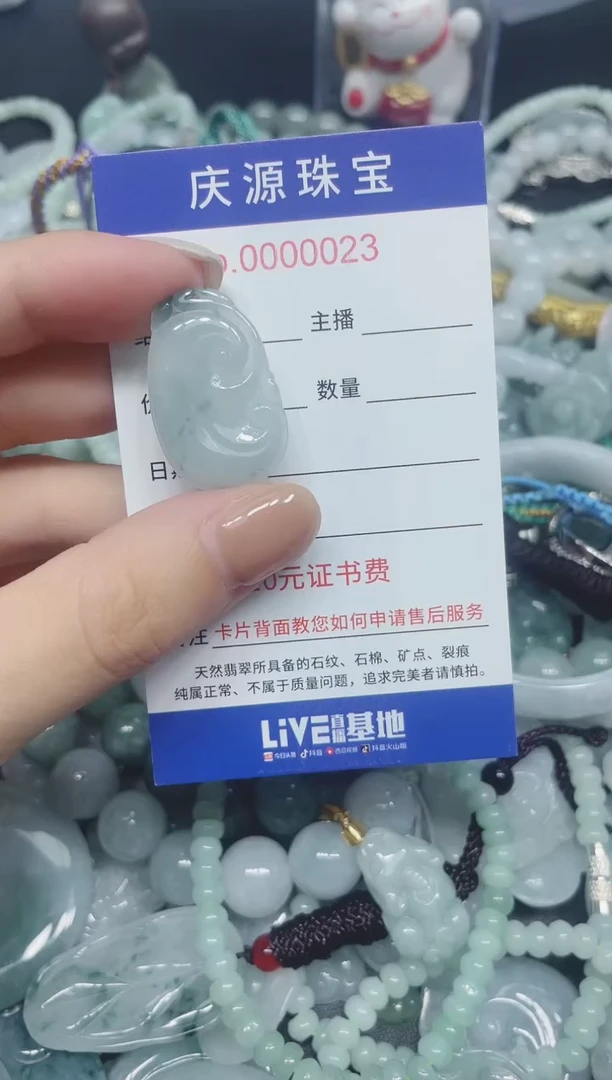翡翠未镶嵌颈饰432