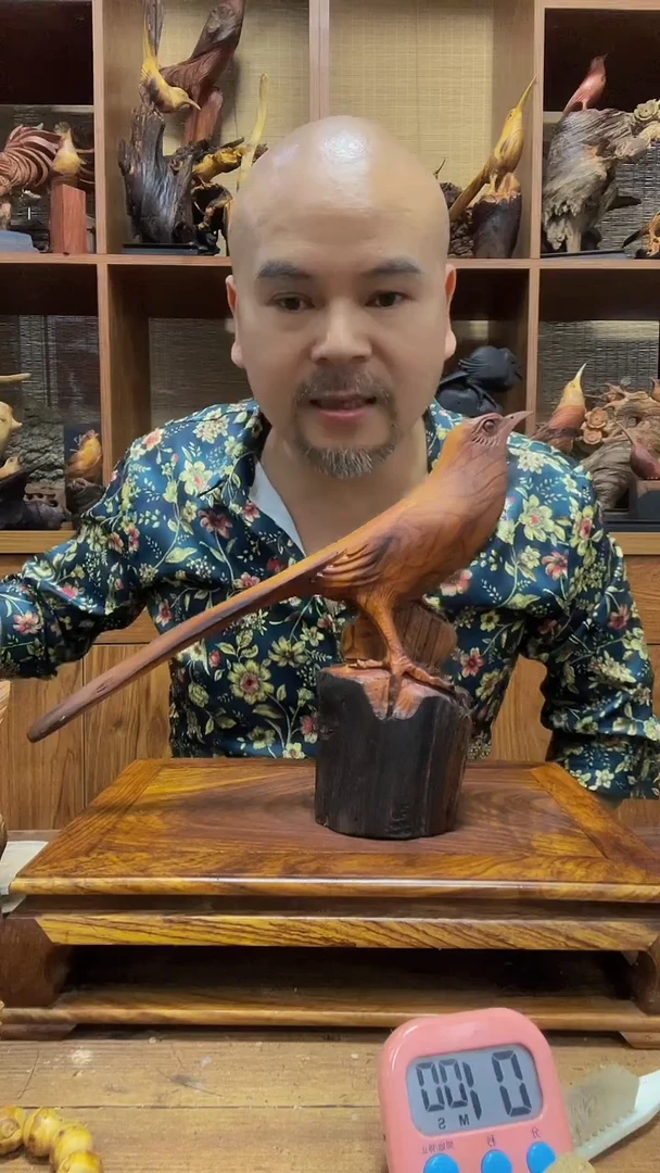 松木 定向 顺风顺水 定向 顺风顺水