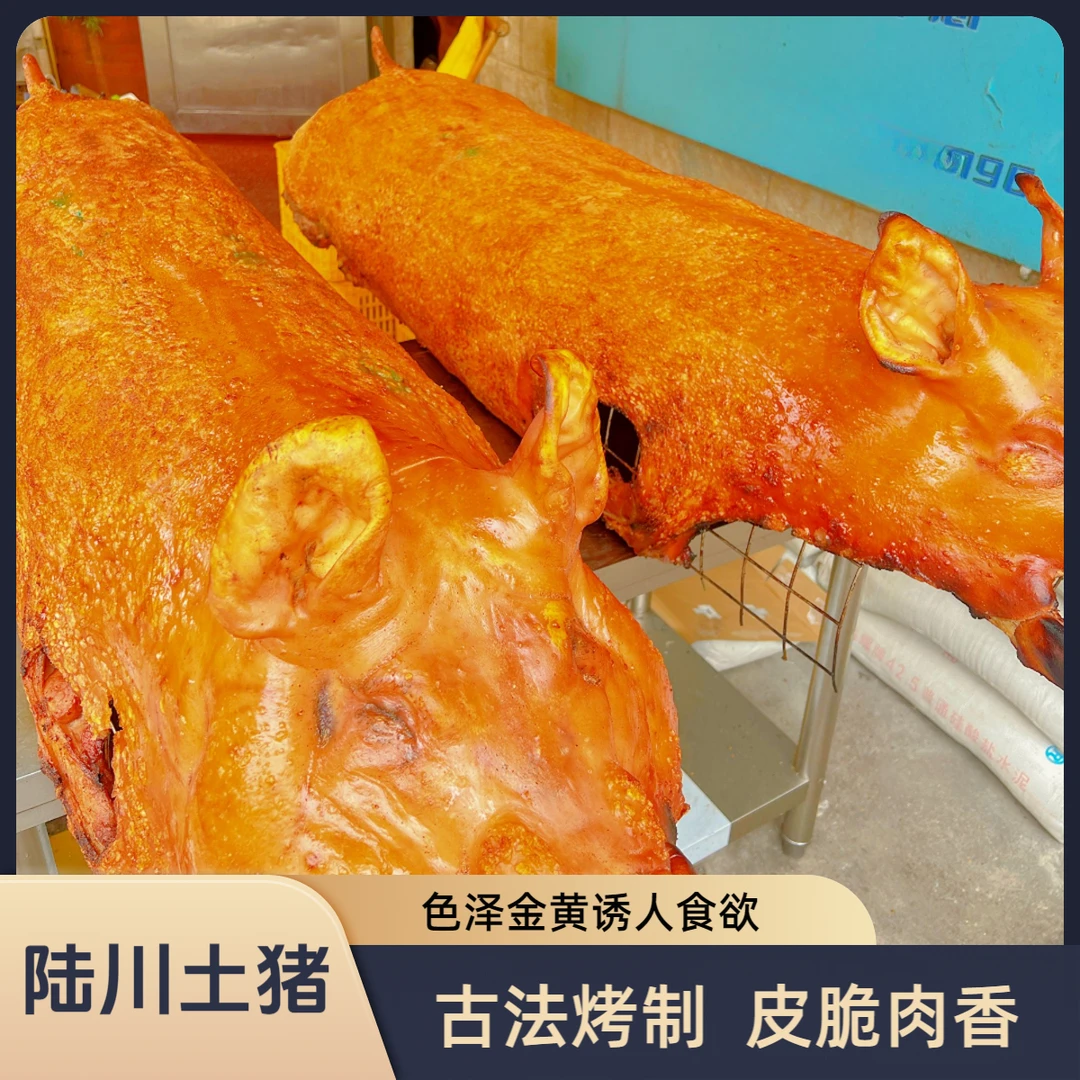 陆川烤土猪买1斤送1斤到手两斤脆皮金黄整只烤猪加热即食抽真空发顺丰