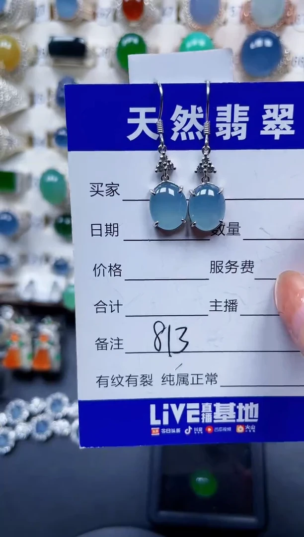 银S925镶嵌翡翠耳饰813
