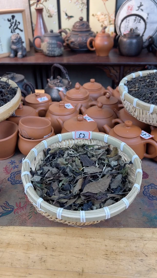 壶101号茶【白云推荐】老白1000克