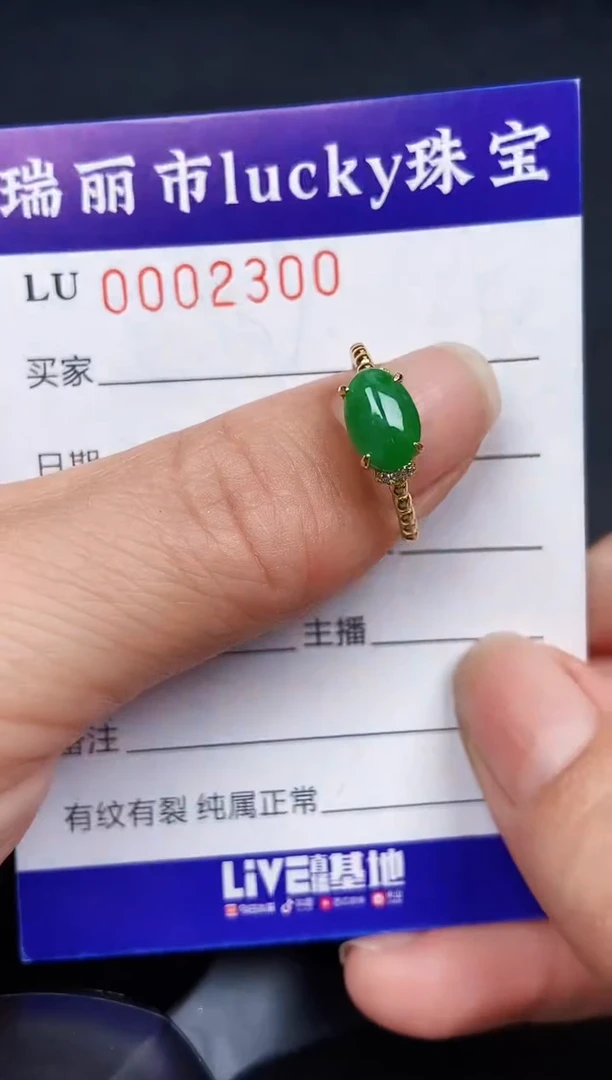翡翠银S925镶嵌颈饰2300