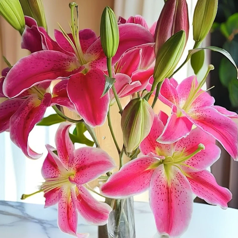 【蜜桃】香水百合云南鲜花基地直发香水百合水养花家用办公室插花