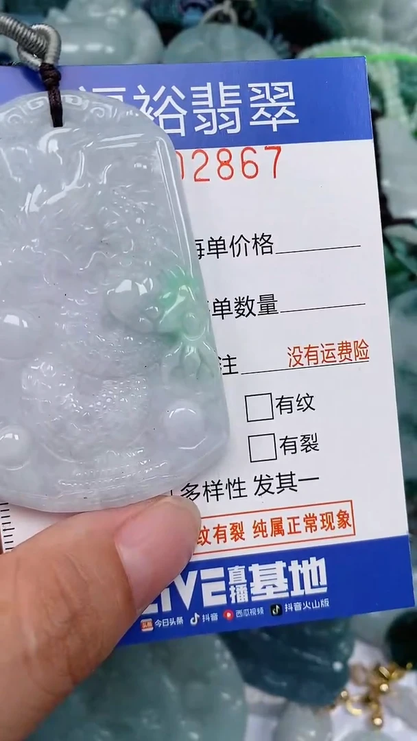 翡翠未镶嵌颈饰...0002867