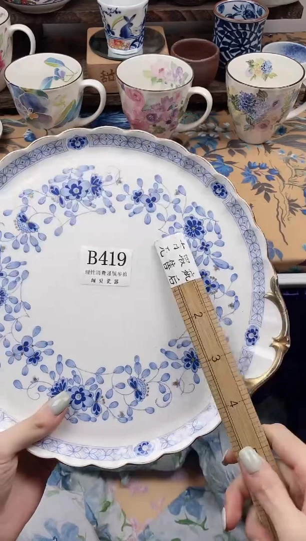 瓷片小*                B419