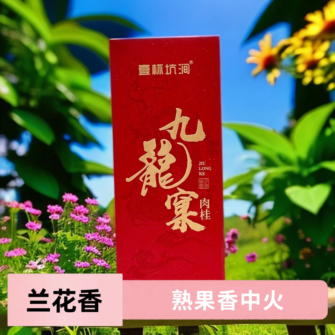 壹杯坑涧【九龙窠·肉桂】武夷 肉桂2泡装