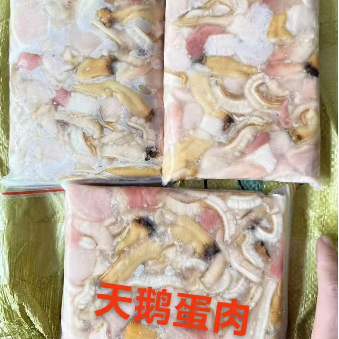 顺丰包邮，烟台天鹅蛋肉 紫石房蛤3袋起拍500克/袋 葱油家常烹饪