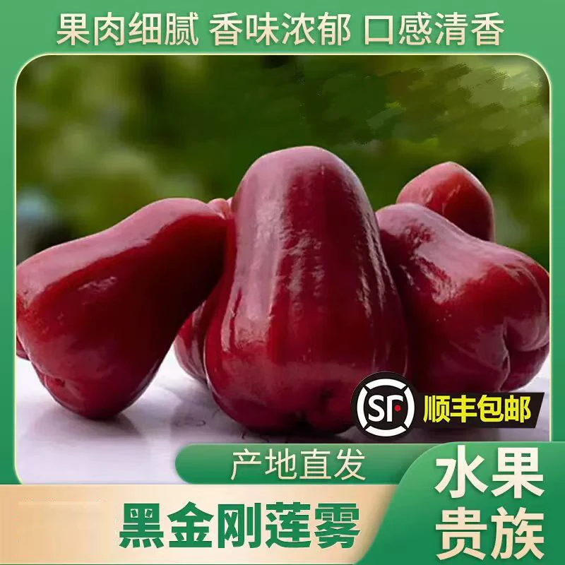 海南黑金刚当季莲雾正宗红宝石新鲜现摘热带水果仙女雾莲果整箱