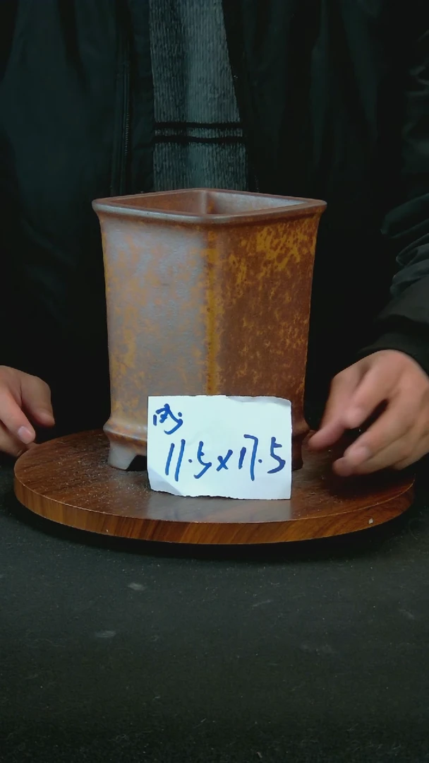 【闪购商品】紫砂N30