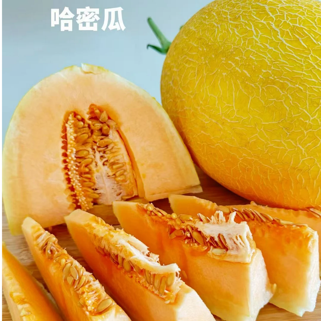 金福密哈密瓜，顺丰包邮