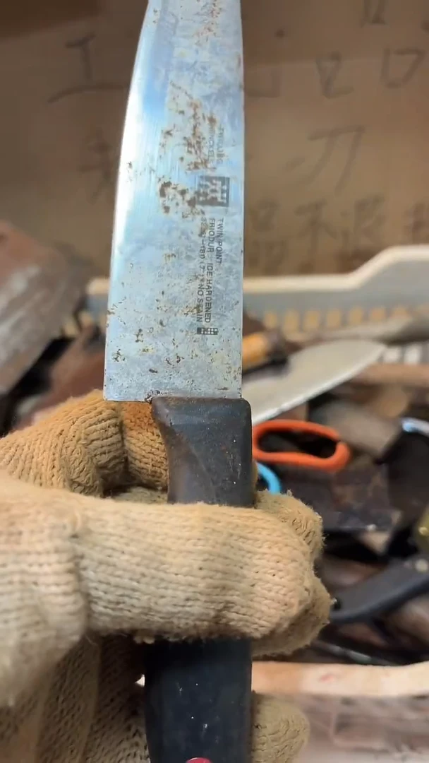 六***顺哈哈哈哈哈哈哈