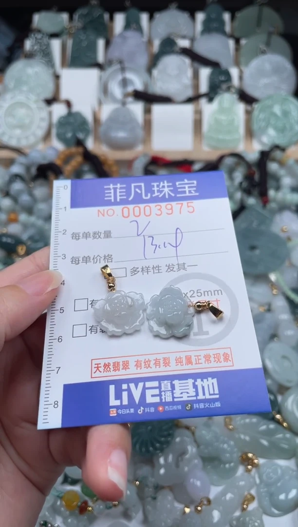 翡翠未镶嵌颈饰00..3975