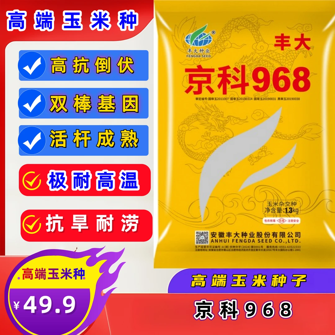 四国审正品丰大京科968矮杆双棒基因高产抗病抗虫抗倒伏