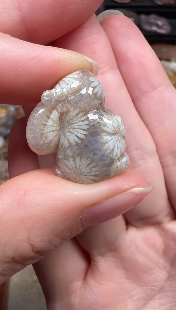 颈饰未镶嵌硅化珊瑚（珊瑚玉）395