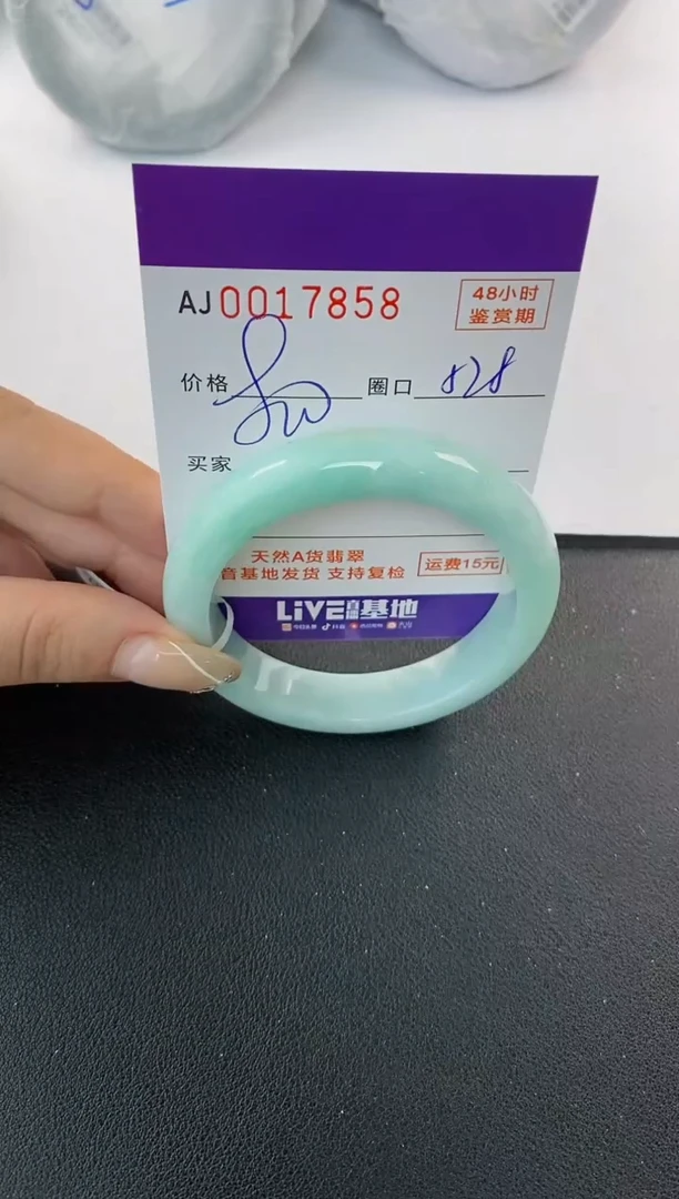 未镶嵌手镯翡翠天然A货翡翠