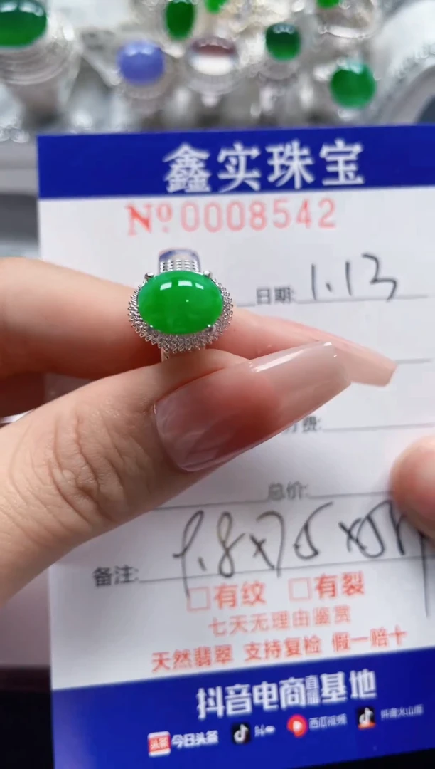 【闪购商品】翡翠颈饰未镶嵌/85420000