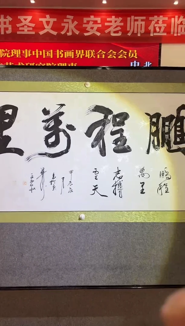 书法A6/珍宝鹏程万里——————