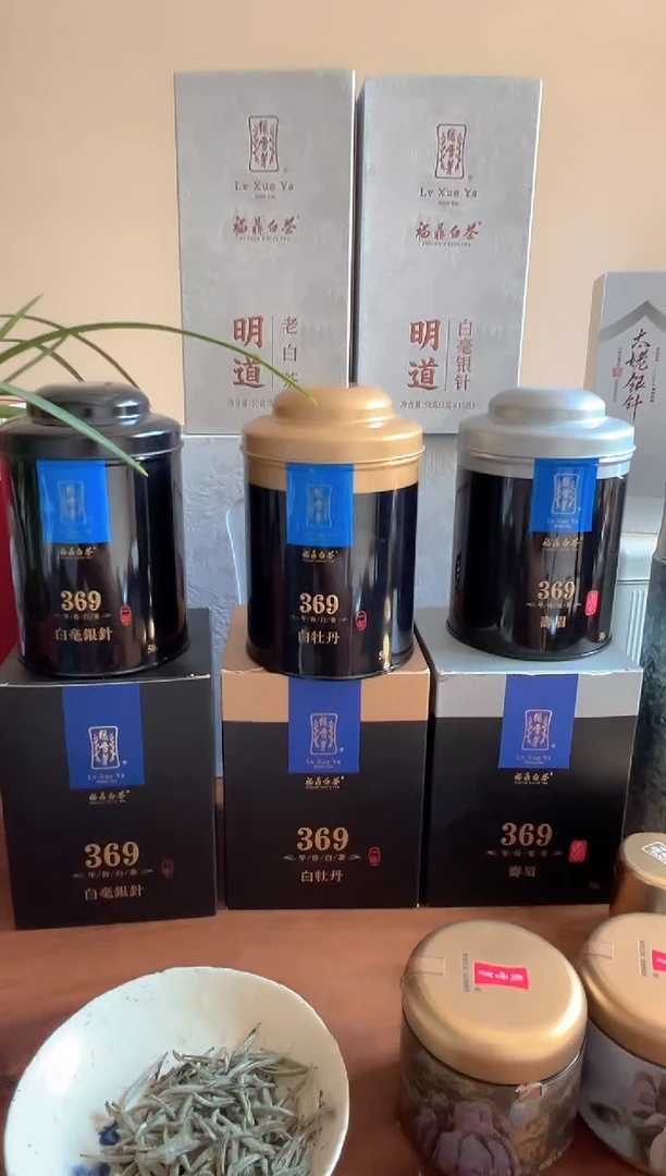 看*太姥银针 2024